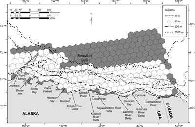 Biologically Important Areas for bowhead whales (Balaena mysticetus): Optimal site selection with integer programming